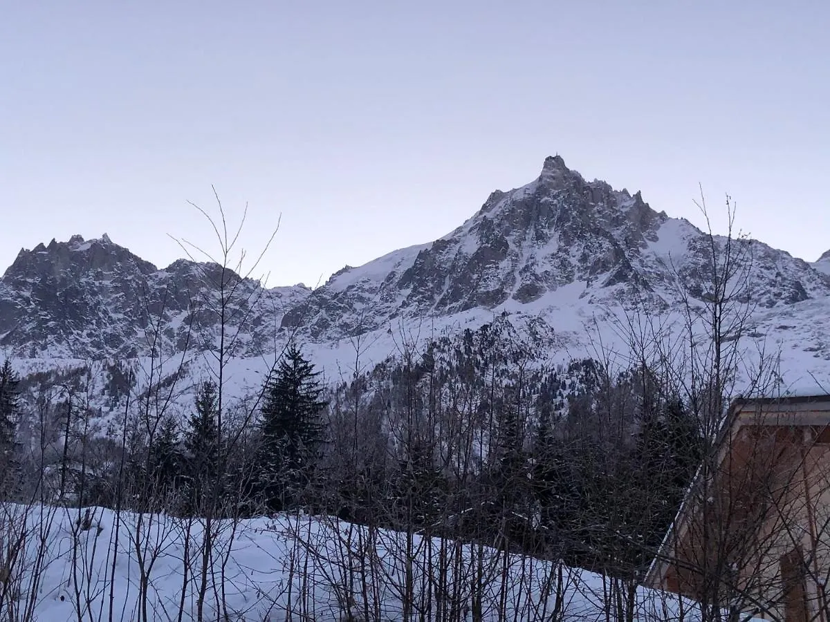Villa Petit chalet montagnard cosy ! à Chamonix
